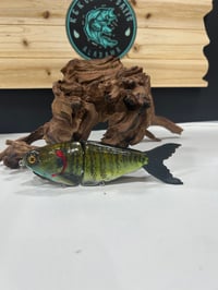 Image 1 of JC Glide Baits V- Notch    Bluegill    V5