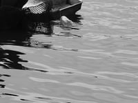 Image 3 of Introspection