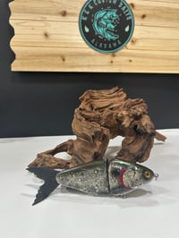 Image 1 of JC Glide baits  V- Notch     Green Back Gizzard  V2