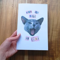 Image 1 of Lies I've told my cat