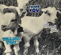 Brigette and Goat Friends