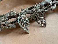 Image 4 of Monstera Swiss Cheese Leaves