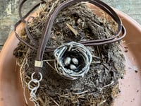 Image 10 of Nesting