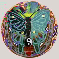 Image 1 of Dream Flight Through Duality