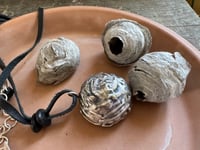 Image 14 of Paper Nest