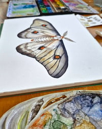 Image 5 of Ghostly Moth ORIGINAL ARTWORK