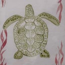 Image 2 of £50 originals - Turtle watercolour
