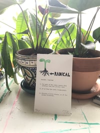 Image 1 of Radical Radicle