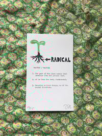 Image 2 of Radical Radicle