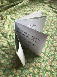 Image 4 of Still Lives