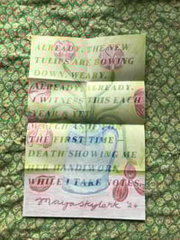 Image 3 of Still Lives
