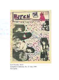 Image 17 of Zinelandia: Cover Art from the Factsheet Five Era (1982-1998)