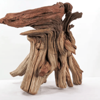 Image 1 of Seaside Radiance