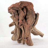 Image 2 of Seaside Radiance