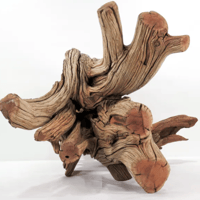 Image 3 of Seaside Radiance