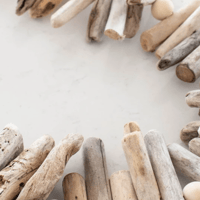 Image 2 of Ocean’s Song  