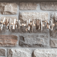 Image 3 of Ocean’s Song  