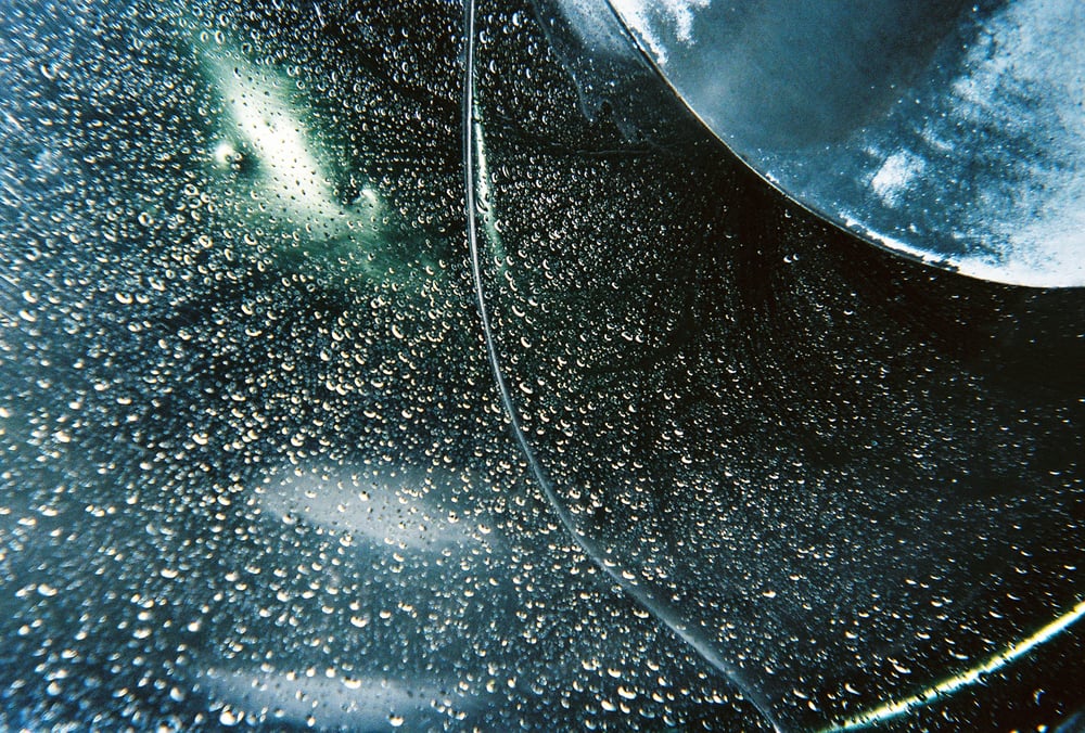 Image of Cosmos (POD)