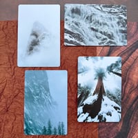 Image 1 of Sequoia Silence