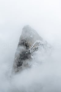 Image 3 of Sequoia Silence