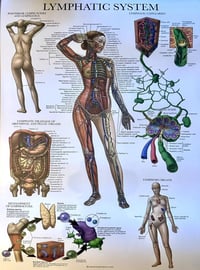 Image 1 of Detoxification Consultation and 30+ days of consistent support