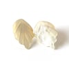 Shimmering Shell Earrings