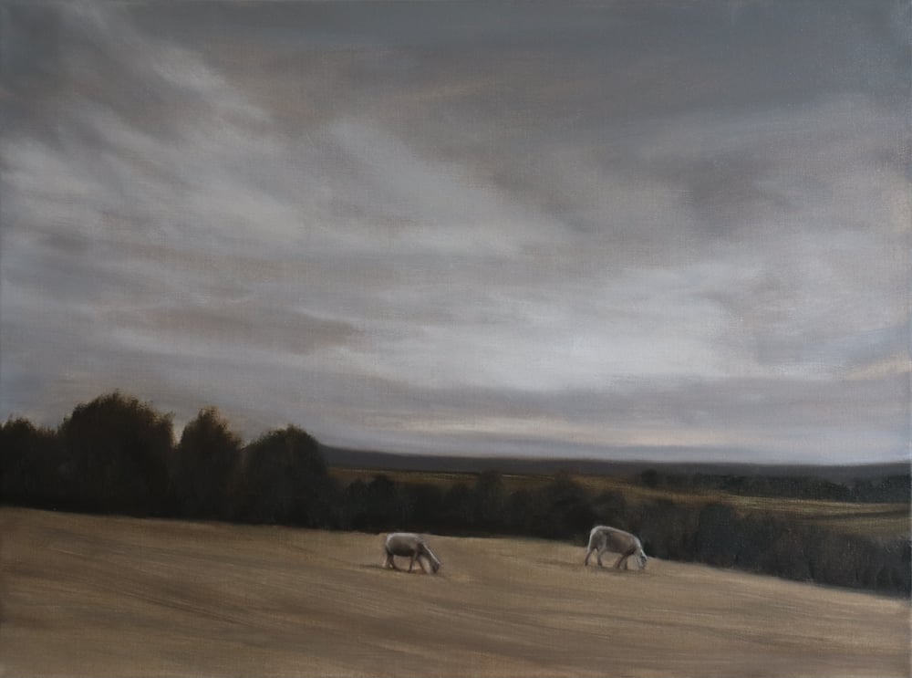 Image of Deux moutons à la campagne