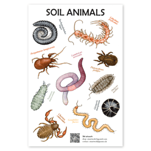 Soil animals sticker sheet
