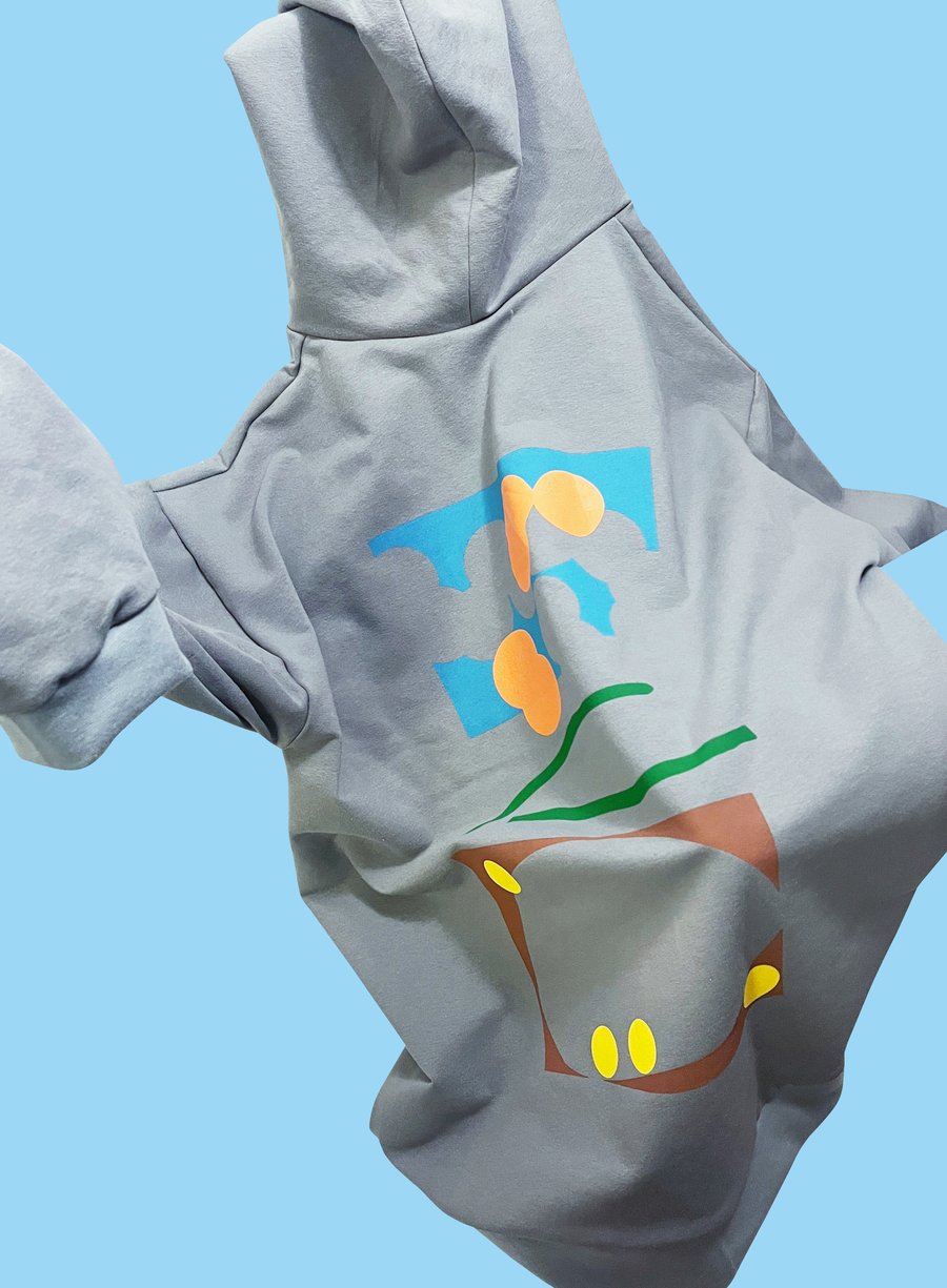 Image of GAPS hoodie