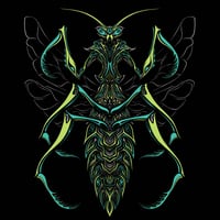 Image 1 of MANTIS.