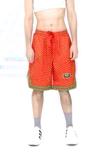 Image 1 of SUTOBERRY shorts