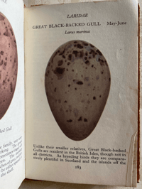 Image 2 of The Observer's Book of Birds' Eggs
