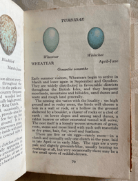 Image 3 of The Observer's Book of Birds' Eggs