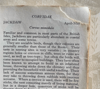 Image 5 of The Observer's Book of Birds' Eggs