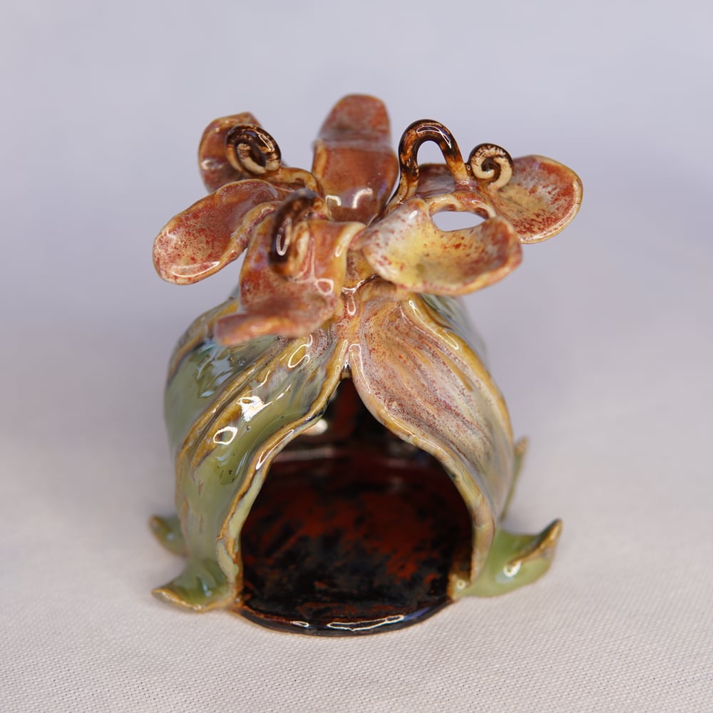 Image of Carnivorous Fairy House