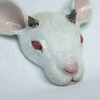 Image 2 of Gentle Creature