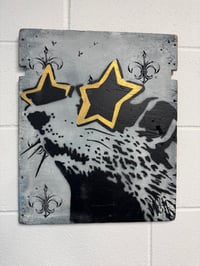 Rat 1/1