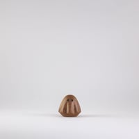 Oak Ghost No.23