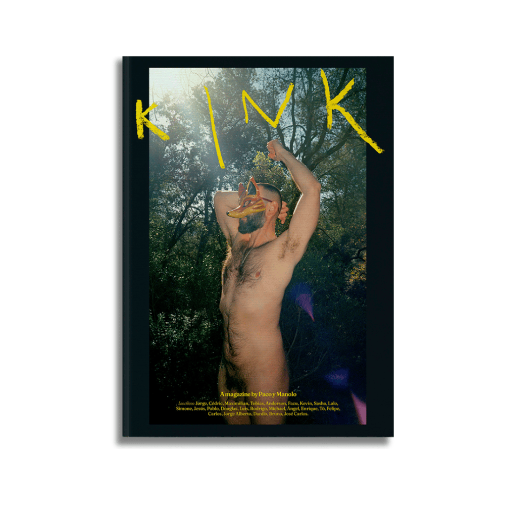 Image of Kink #42