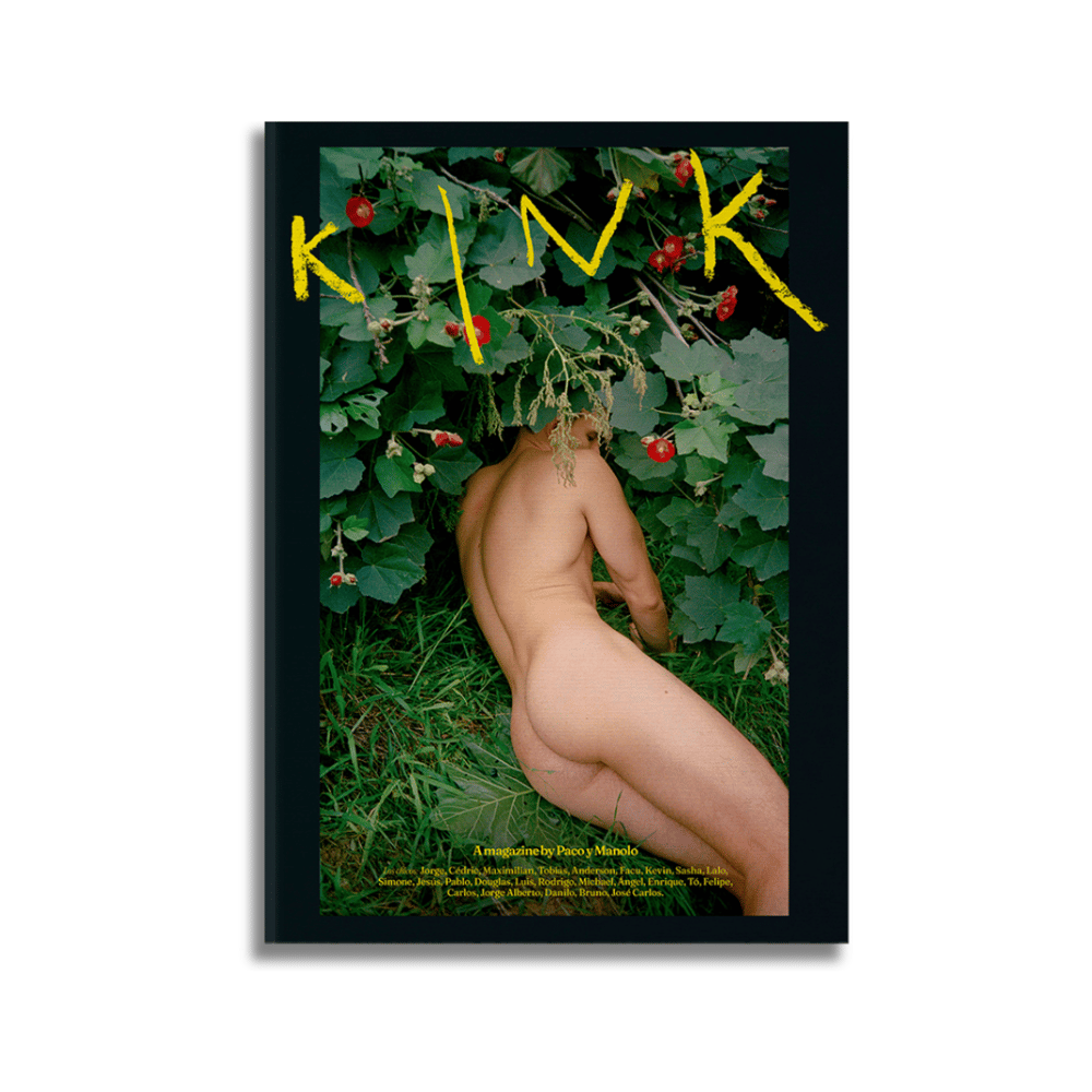 Image of Kink #42