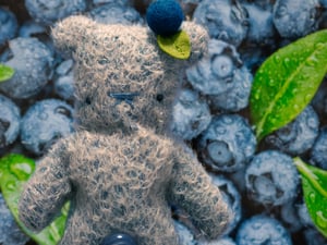 Image of Blueberry