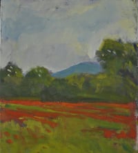 Poppyfield V
