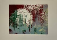 Image 1 of Petros Cactus Garden | series of 15. No 15/15