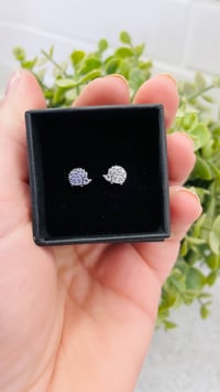 Hedgehog Studs