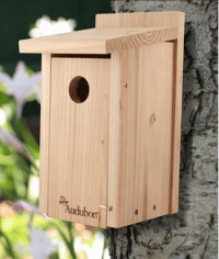Image 1 of Bluebird House