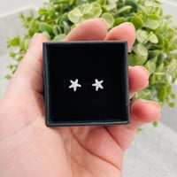 Hammered Starfish Studs