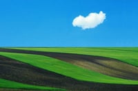 Image 6 of Franco Fontana - A Life of Photos