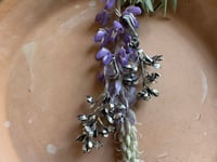 Image 2 of Lupine