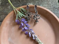 Image 3 of Lupine