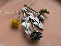 Image 7 of Dandelion Season